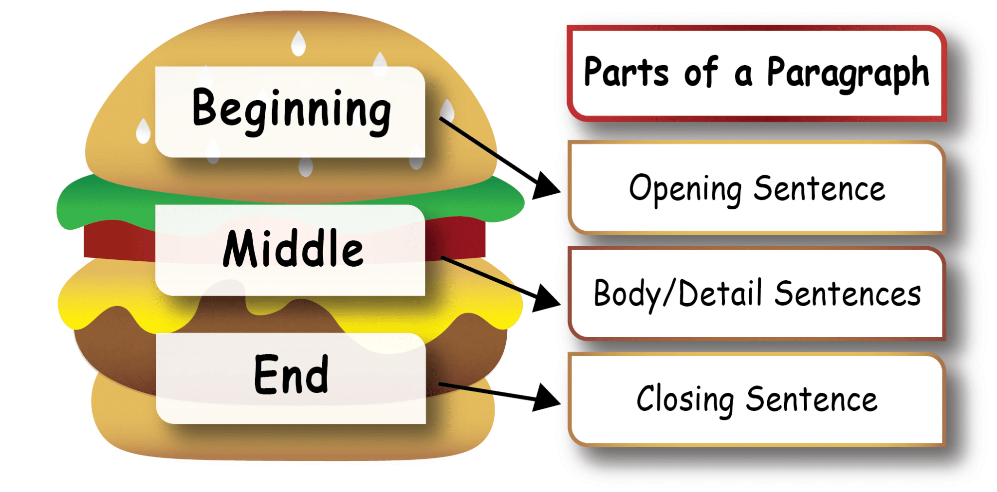 how-to-structure-a-paragraph-paragraph-writing-eiw