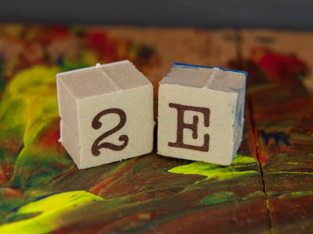 Supports Twice-Exceptional Learners: Logical and Low-Pressure
